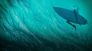 The Shallows's poster