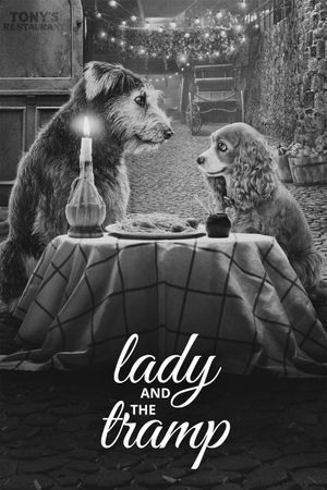 Lady and the Tramp's poster