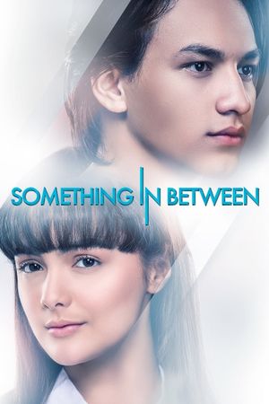 Something in Between's poster