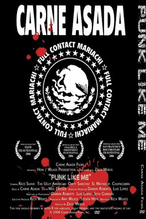 Punk Like Me's poster