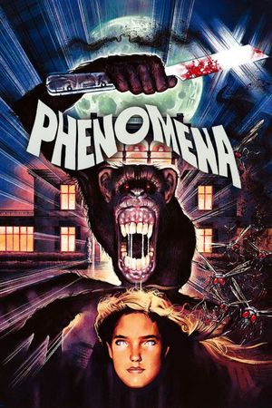 Phenomena's poster