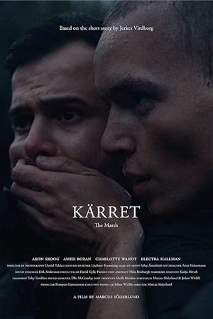The Marsh's poster