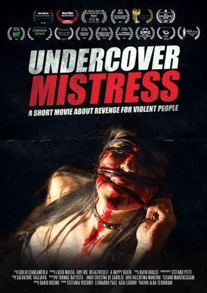 Undercover Mistress's poster