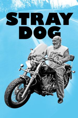 Stray Dog's poster