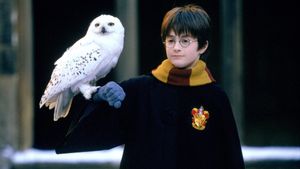 Harry Potter and the Sorcerer's Stone's poster