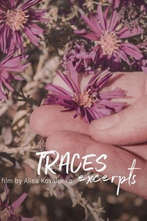 Traces's poster image