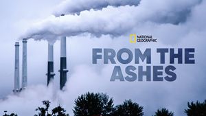 From the Ashes's poster