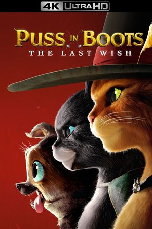 Puss in Boots: The Last Wish's poster