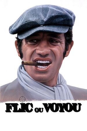Cop or Hood's poster