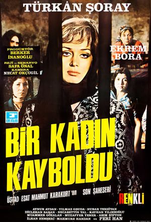 Bir Kadin Kayboldu's poster