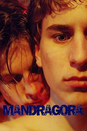 Mandragora's poster