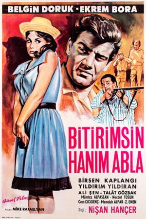 Bitirimsin hanim abla's poster