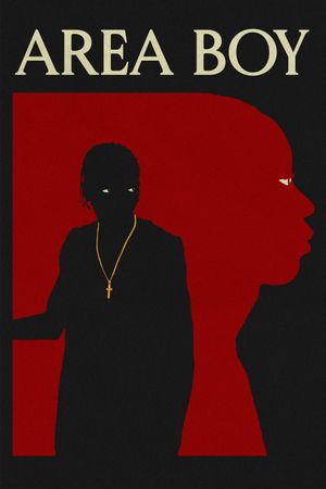 Area Boy's poster