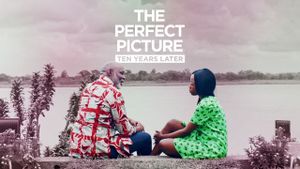 The Perfect Picture: Ten Years Later's poster