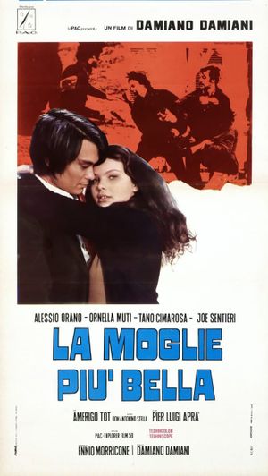 The Most Beautiful Wife's poster