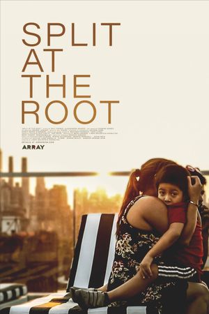 Split at the Root's poster