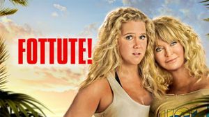Snatched's poster