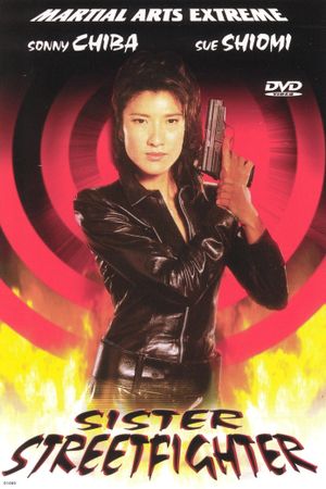 Sister Street Fighter's poster