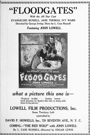 Floodgates's poster