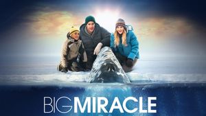 Big Miracle's poster