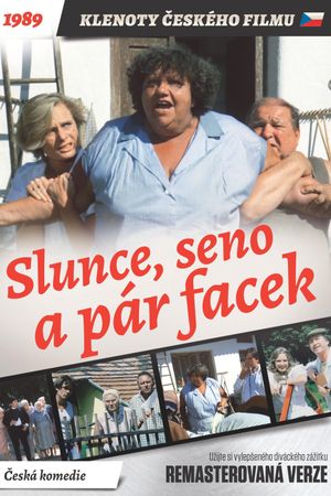 Slunce, seno a pár facek's poster
