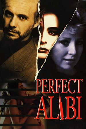 Perfect Alibi's poster