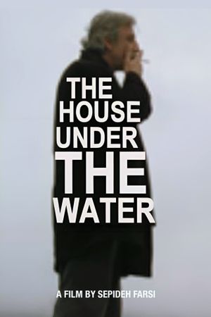 The House under the Water's poster image