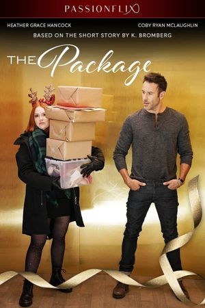 The Package's poster