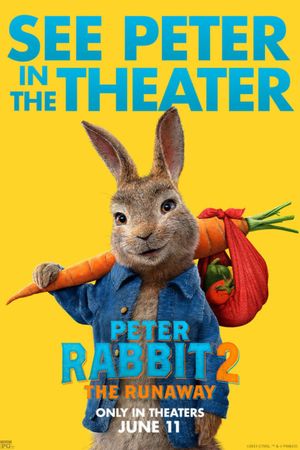 Peter Rabbit 2: The Runaway's poster