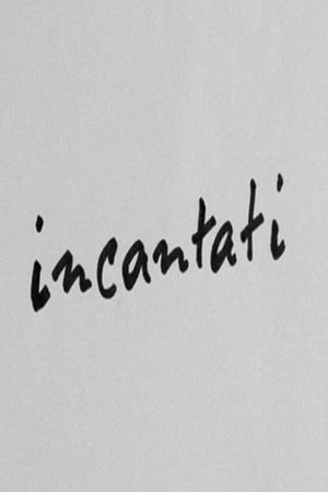 Incantati's poster
