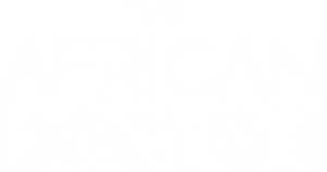 The African Doctor's poster