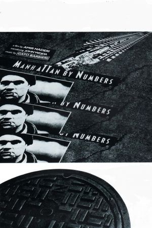 Manhattan by Numbers's poster