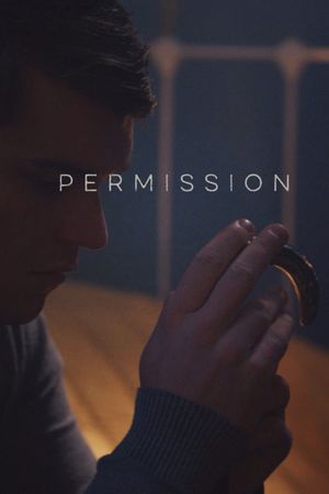 Permission's poster