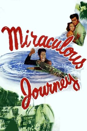Miraculous Journey's poster