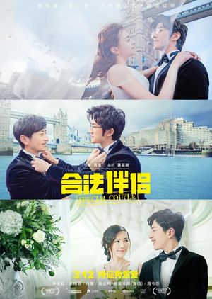 Special Couple's poster