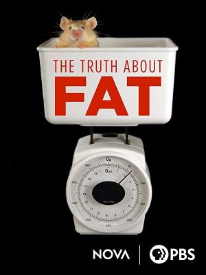 The Truth About Fat's poster