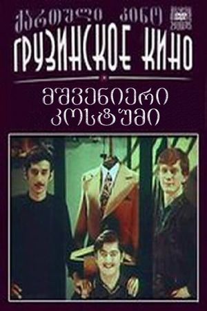 beautiful costume's poster