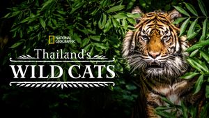 Thailand's Wild Cats's poster