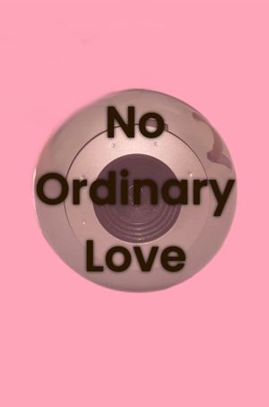 No Ordinary Love's poster