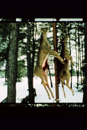 Landscape Suicide's poster
