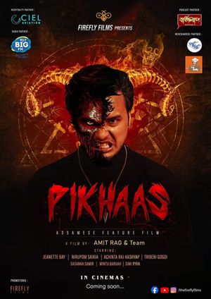 Pikhaas's poster