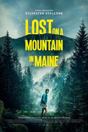 Lost on a Mountain in Maine's poster