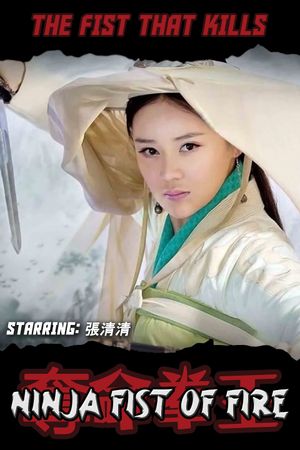 The Fist That Kills's poster