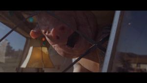 Pig Killer's poster