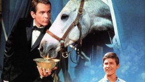 The Horse in the Gray Flannel Suit's poster