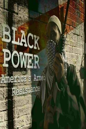 Black Power: America's Armed Resistance's poster