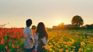 The Hows of Us's poster