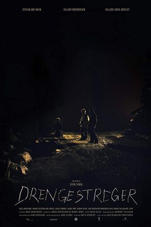 Drengestreger's poster image