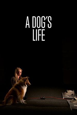 A Dog's Life's poster