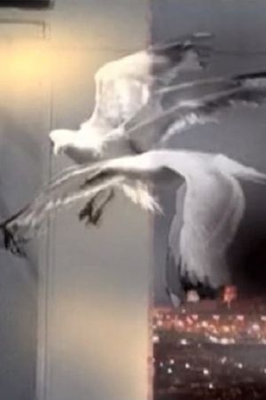 Entrer Dans Le Rêve's poster